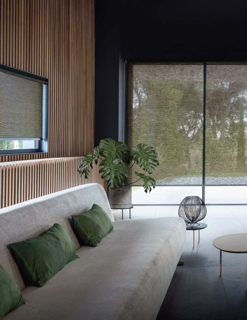 Crestron Shade